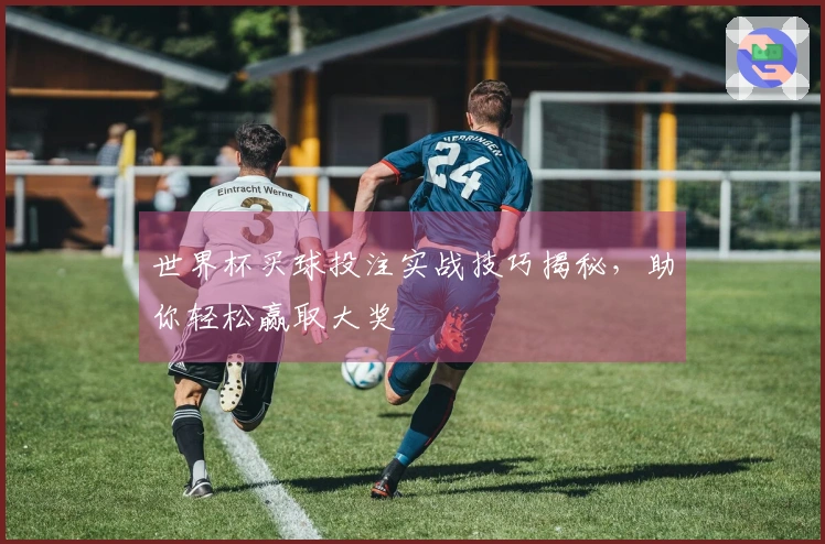 世界杯买球投注实战技巧揭秘，助你轻松赢取大奖