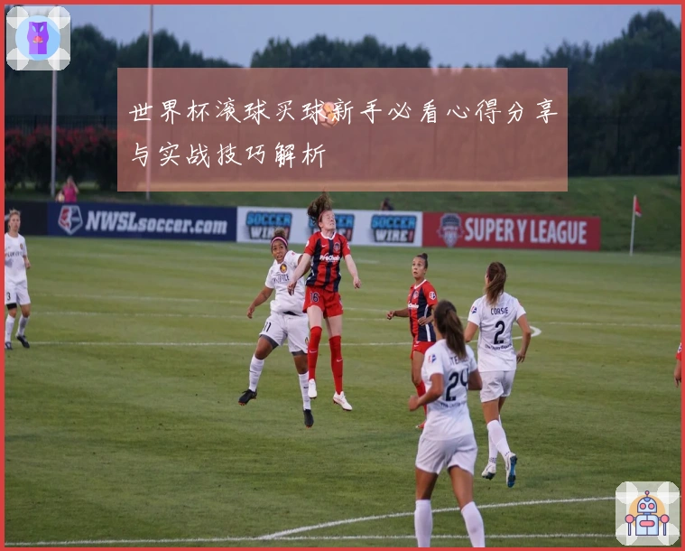 世界杯滚球买球新手必看心得分享与实战技巧解析