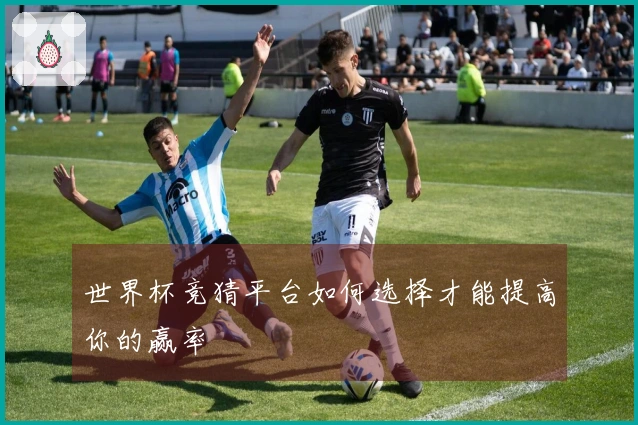 世界杯竞猜平台如何选择才能提高你的赢率