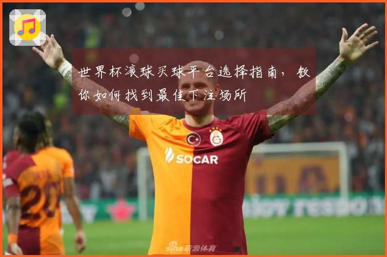 世界杯滚球买球平台选择指南，教你如何找到最佳下注场所