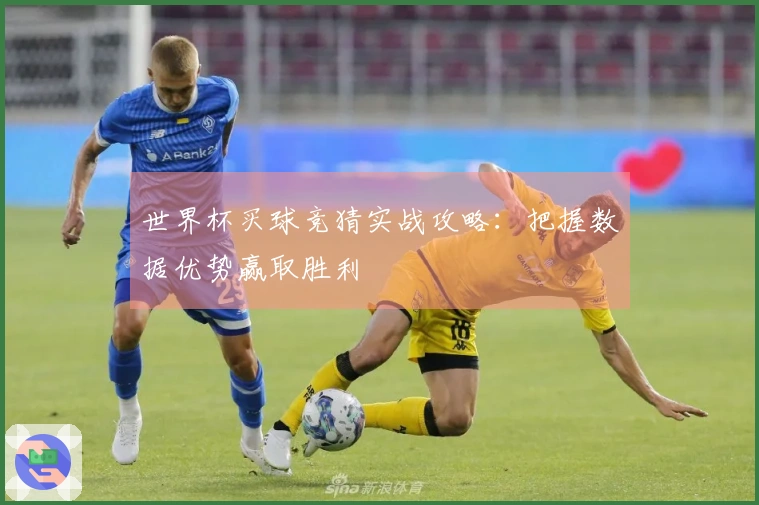 世界杯买球竞猜实战攻略：把握数据优势赢取胜利
