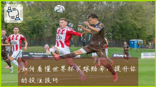 如何看懂世界杯买球赔率，提升你的投注技巧