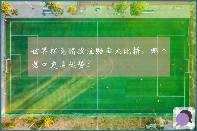 世界杯竞猜投注赔率大比拼，哪个盘口更具优势？