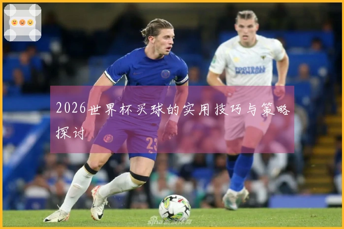 2026世界杯买球的实用技巧与策略探讨